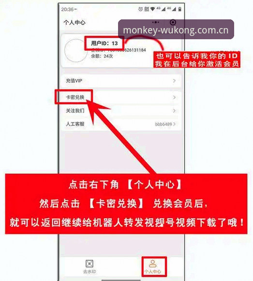 WKTY CN注册怎么下载 vs 官网网页登录：新手该选哪个？